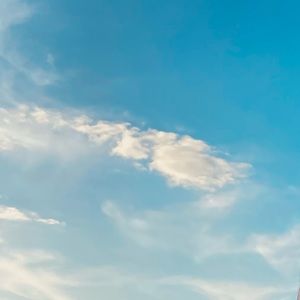 Meet your Posher, Kylie